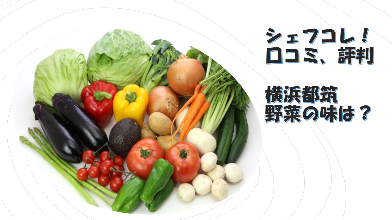 【シェフコレ】口コミ評判！ネオダイニング横浜都筑で採れた新鮮野菜のお味は？