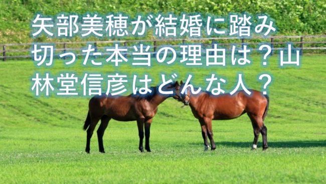 矢部美穂が結婚に踏み切った本当の理由は？山林堂信彦はどんな人？