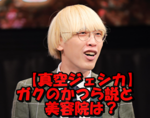 真空ジェシカガクの金髪がカツラ説の真相!あの髪型誕生秘話と通っている美容室を調査!