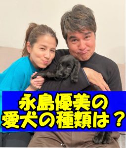 永島優美の愛犬の種類は？家族に迎え入れた本当の理由は？