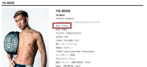 YA-MAN ｜RISE(ライズ)立ち技打撃格闘技 オフィシャルサイト