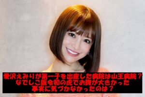 愛沢えみりが第一子を出産した病院は山王病院?なでしこ版令和の虎でお腹が大きかった事実に気づかなかったのは?