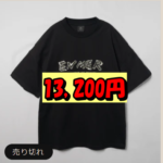 13,200円