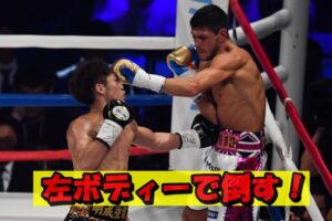 井上尚弥がカルデナスを左ボディーでKO