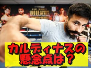 カルディナスの懸念点は?
